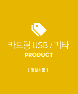 기타 케이스